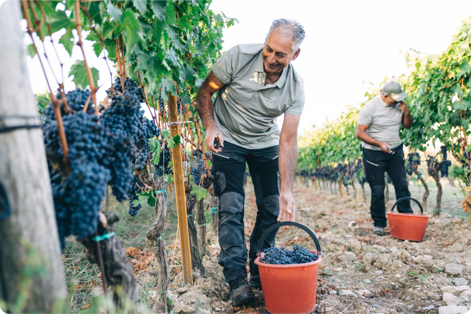 Biodiversità | Vallepicciola